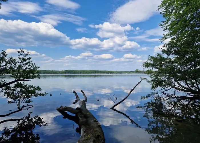 Nette In Mit Kleiner Terrasse By Interhome Apartment